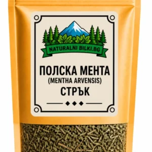Полска мента – стрък, рязан (Mentha arvensis)