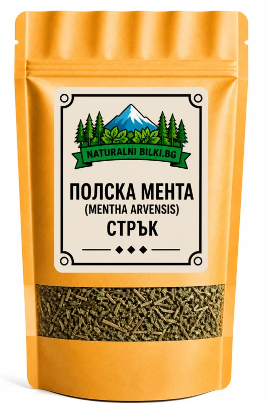 Полска мента – стрък, рязан (Mentha arvensis)