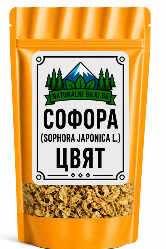 Софора, японска акация – цвят, рязан (Sophora japonica)
