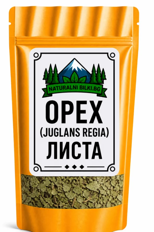Орех – листа, рязан (Juglans regia)