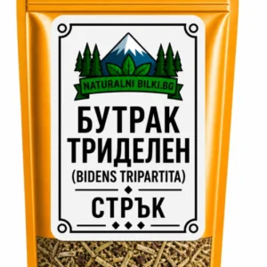 Бутрак триделен – стрък, рязан (Bidens tripartita)