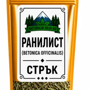 Ранилист (бетоника) – стрък, рязан (Betonica officinalis)