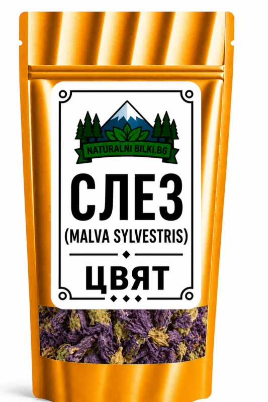 Слез – цвят, рязан (Malva sylvestris)