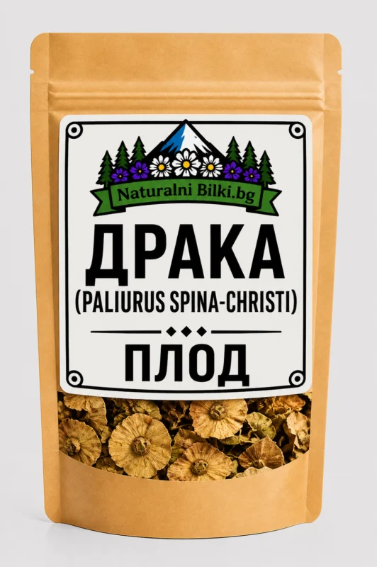 Драка (христов трън) – плод, рязан (Paliurus spina-christi)