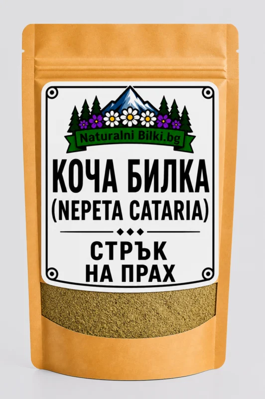 Коча билка, котешка билка – стрък, на прах (Nepeta cataria)