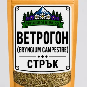 Ветрогон (полски ветрогон) – стрък, рязан (Eryngium campestre)