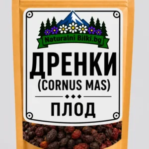 Дрян – плод (Cornus mas)