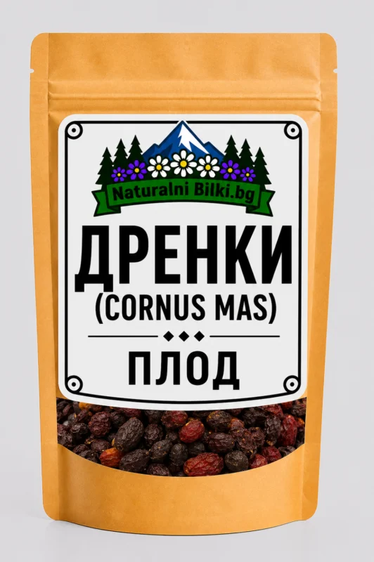Дрян – плод (Cornus mas)