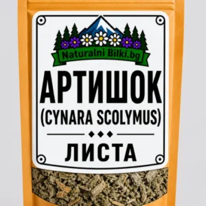 Артишок – листа, рязан (Cynara scolymus)