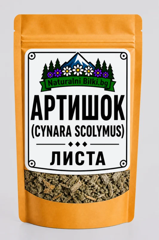 Артишок – листа, рязан (Cynara scolymus)