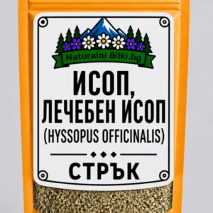 Исоп – стрък, рязан (Hyssopus officinalis)