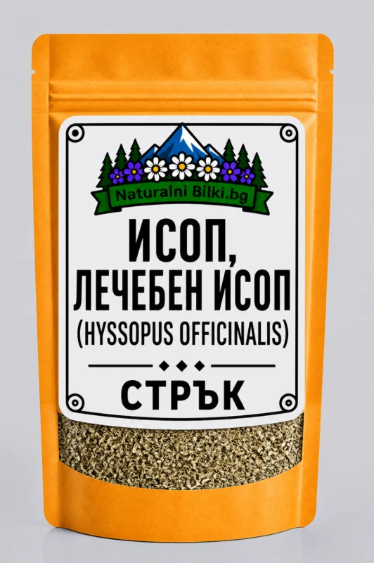 Исоп – стрък, рязан (Hyssopus officinalis)