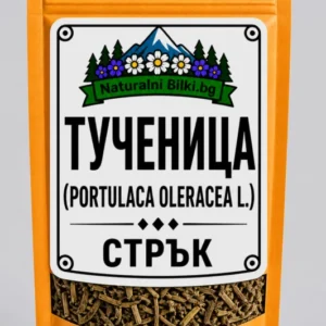 Тученица – стрък, рязан (Portulaca oleracea)