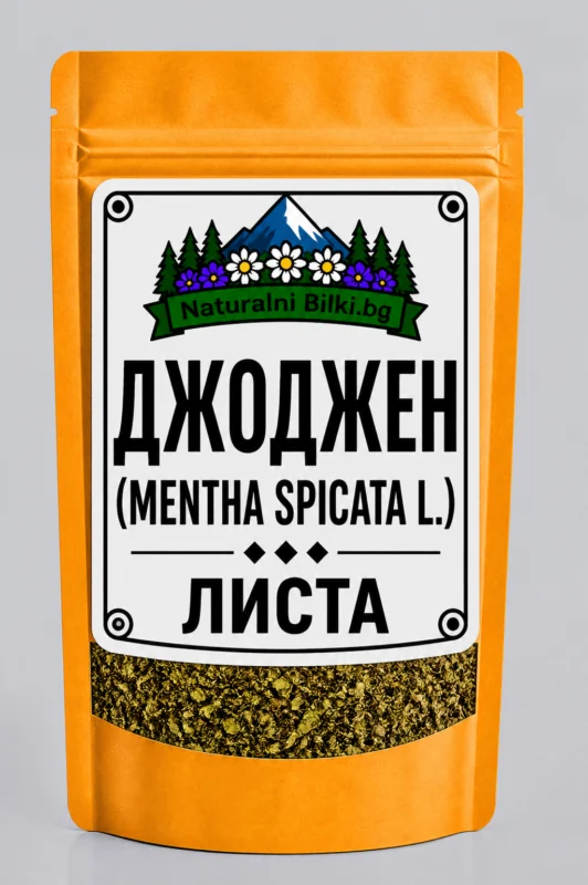 Джоджен (зелена мента) – листа, рязан (Mentha spicata)
