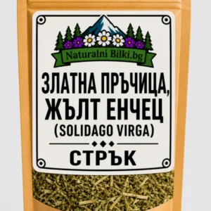 Златна пръчица (жълтениче) – стрък, рязан (Solidago virgaurea)