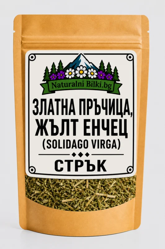 Златна пръчица (жълтениче) – стрък, рязан (Solidago virgaurea)
