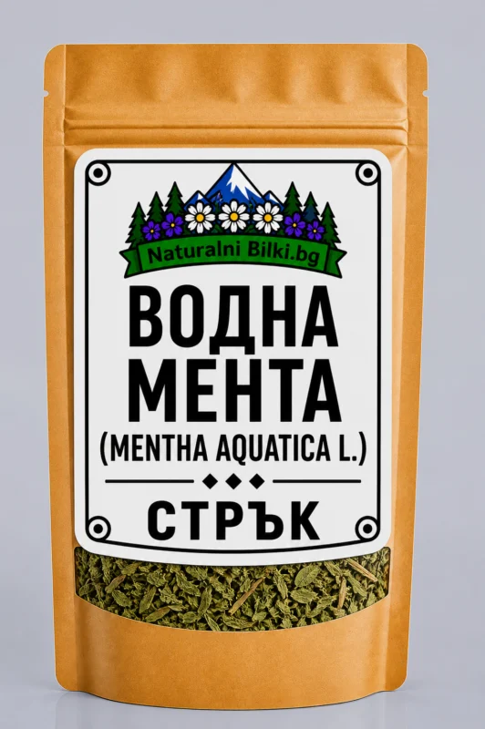 Водна мента – стрък, рязан (Mentha aquatica)