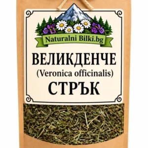 Великденче (вероника) – стрък, рязан (Veronica officinalis)