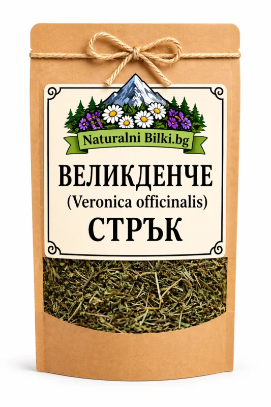 Великденче (вероника) – стрък, рязан (Veronica officinalis)