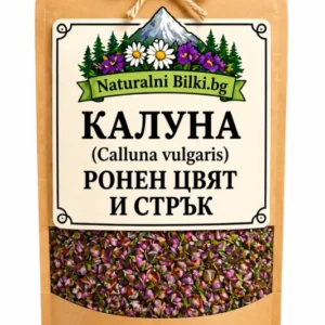 Калуна, вресина – цвят, рязан (Calluna vulgaris)