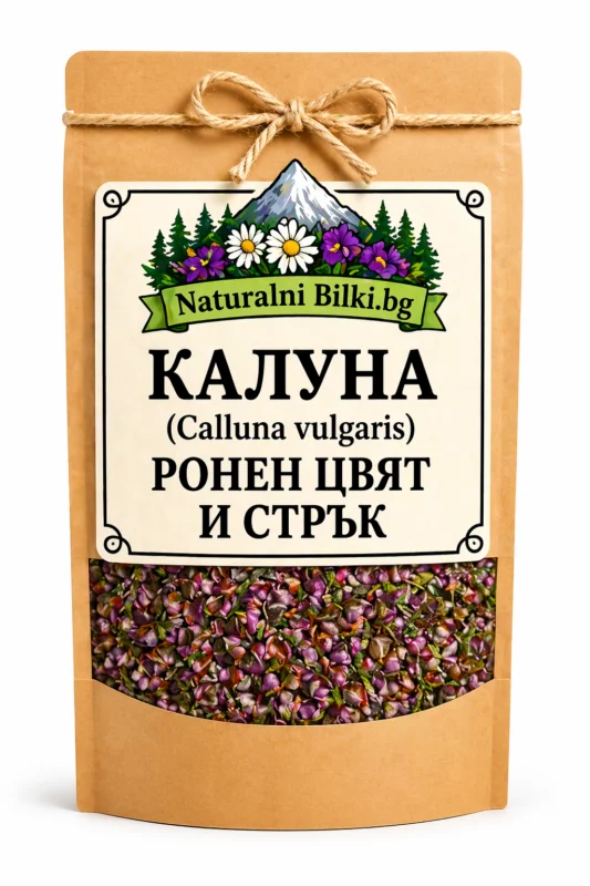 Калуна, вресина – цвят, рязан (Calluna vulgaris)