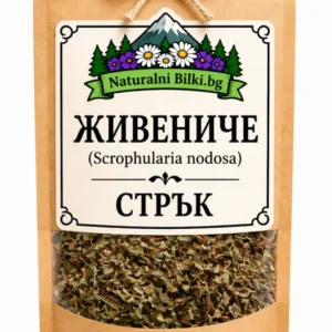 Живениче – стрък, рязан (Scrophularia nodosa)