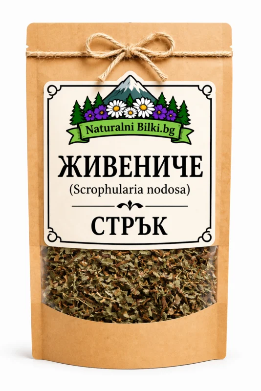 Живениче – стрък, рязан (Scrophularia nodosa)