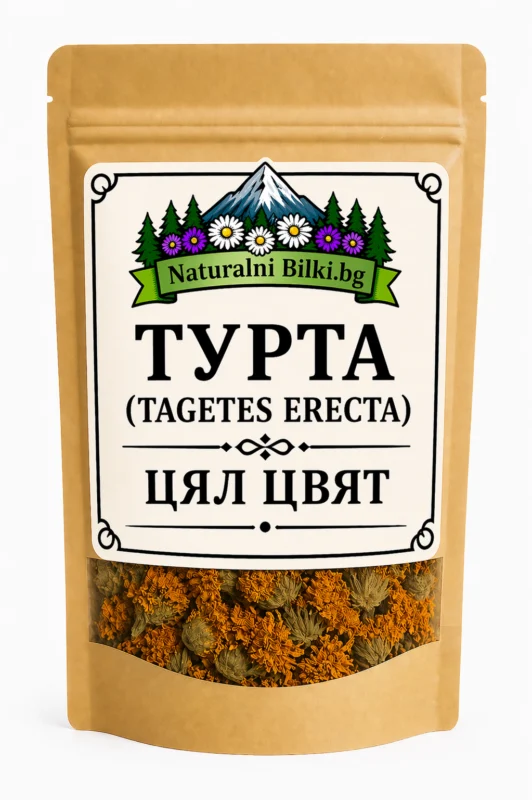Турта (тагетес) – цвят, цели (Tagetes erecta)