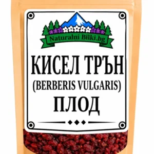 Кисел трън (берберис) – плод (Berberis vulgaris)