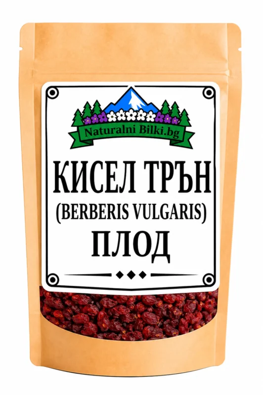 Кисел трън (берберис) – плод (Berberis vulgaris)