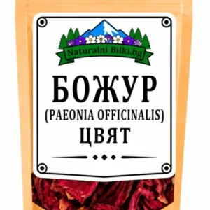 Божур червен – цвят, рязан (Paeonia officinalis)
