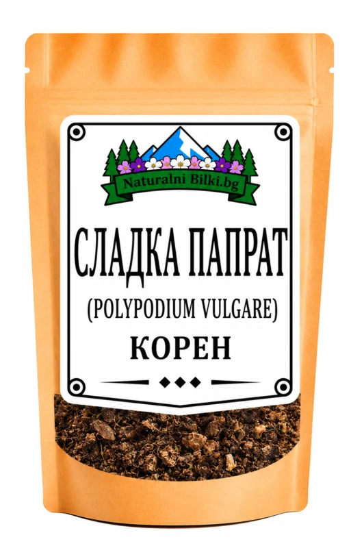 Сладка папрат (полиподиум) – корен, рязан (Polypodium vulgare)