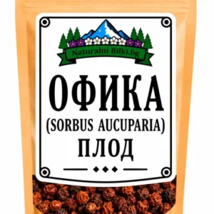 Офика – плод (Sorbus aucuparia)