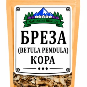 Бяла бреза – кора, рязан (Betula pendula)