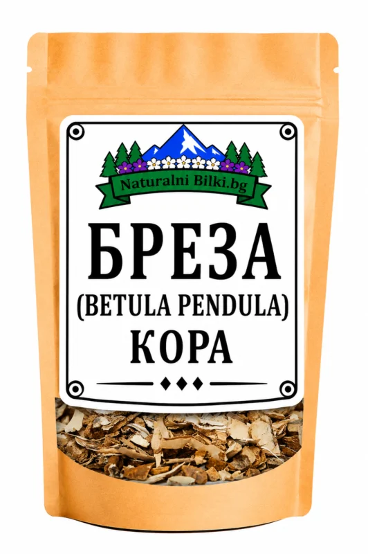 Бяла бреза – кора, рязан (Betula pendula)