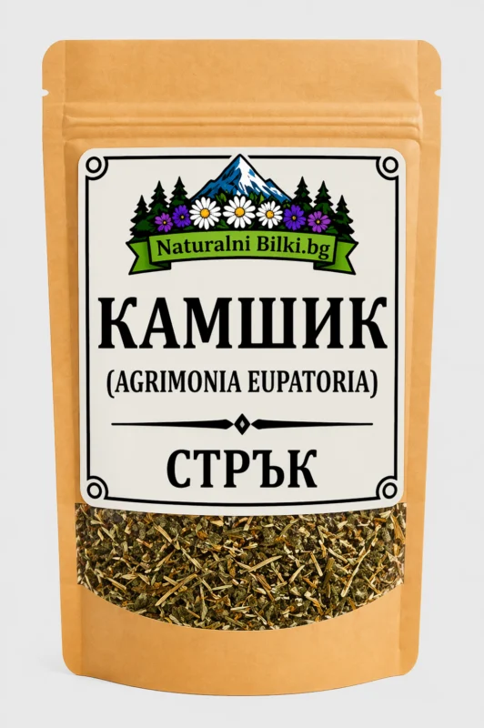 Камшик – стрък, рязан (Agrimonia eupatoria)