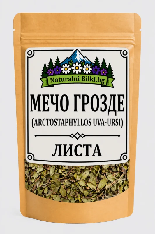 Мечо грозде – листа, рязан (Arctostaphylos uva-ursi)