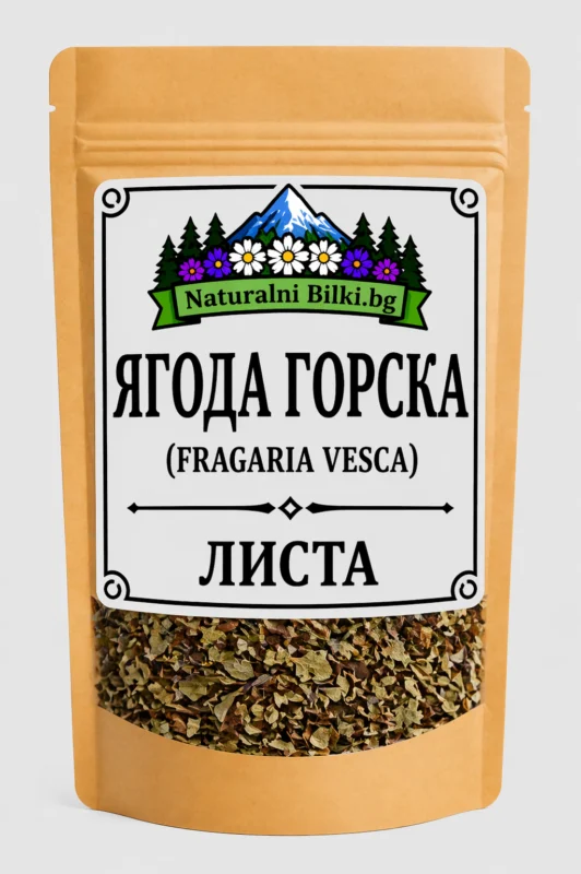 Горска ягода – листа, рязан (Fragaria vesca)