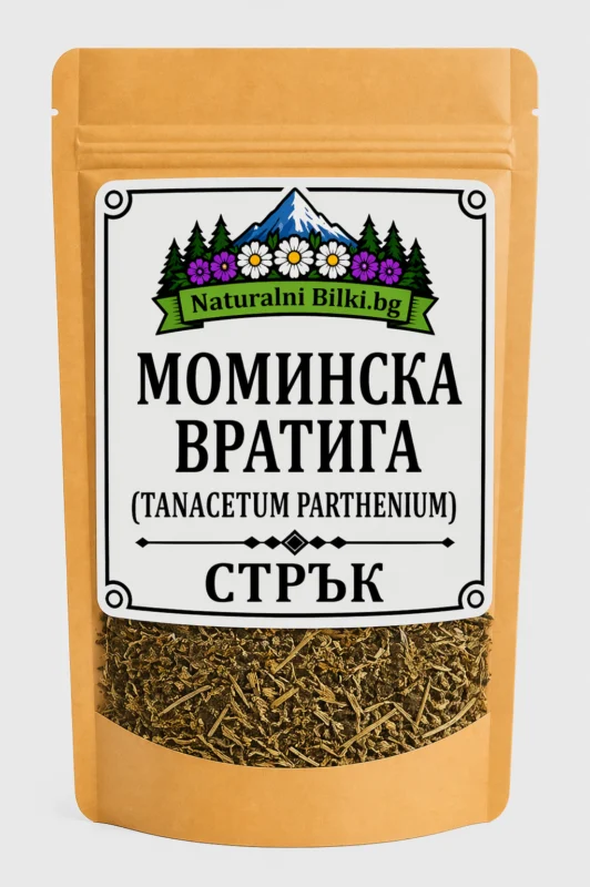 Моминска вратига – стрък, рязан (Tanacetum parthenium)