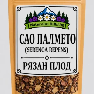 Сао палмето – плод, рязан (Serenoa repens)