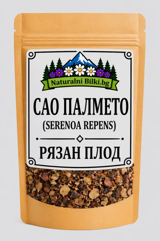 Сао палмето – плод, рязан (Serenoa repens)