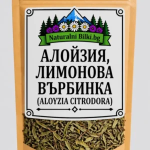 Лимонена върбинка – стрък, рязан (Aloysia citrodora)
