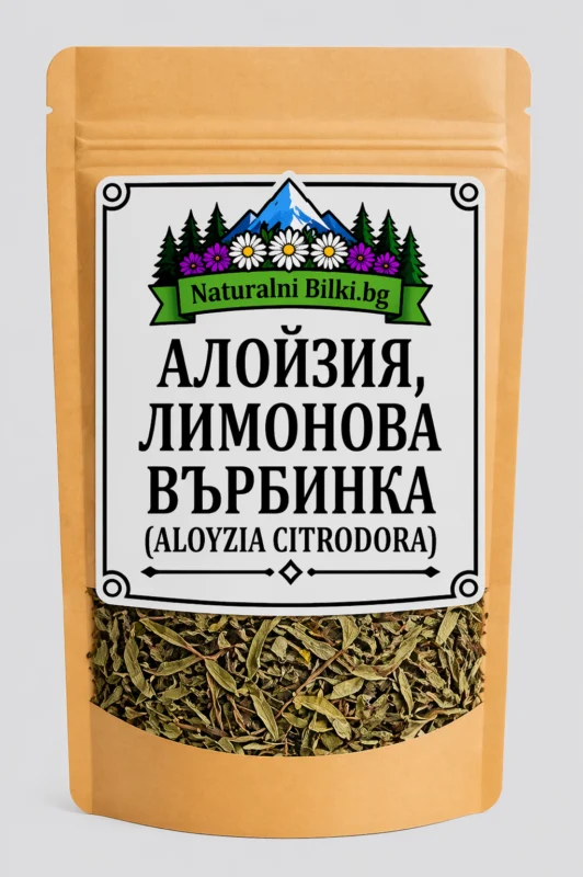 Лимонена върбинка – стрък, рязан (Aloysia citrodora)
