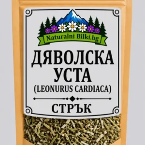 Дяволска уста (отвратниче) – стрък, рязан (Leonurus cardiaca)