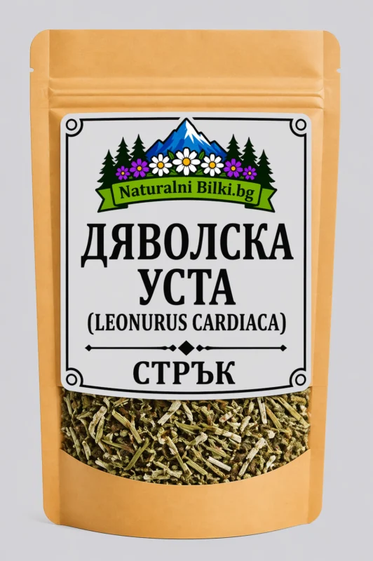 Дяволска уста (отвратниче) – стрък, рязан (Leonurus cardiaca)