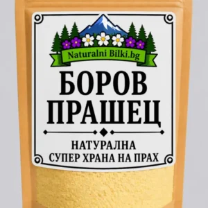 Боров прашец – на прах (Pinus sylvestris)