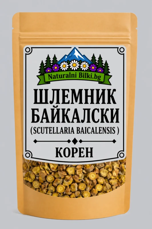 Байкалски шлемник (скутелария) – корен, рязан (Scutellaria baicalensis)