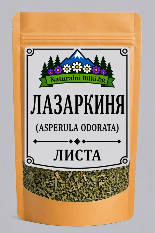 Лазаркиня (асперула) – стрък, рязан (Galium odoratum)