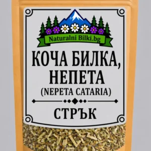 Коча билка, котешка билка – стрък, рязан (Nepeta cataria)