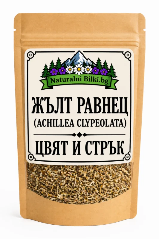 Жълт равнец – цвят и стрък, рязани (Achillea clypeolata)